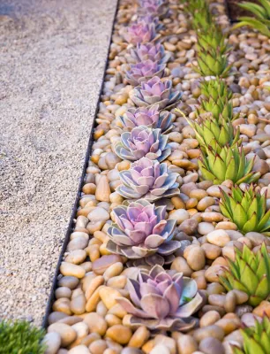 QS landscape inc - Landscape Construction in Santa Ana, CA