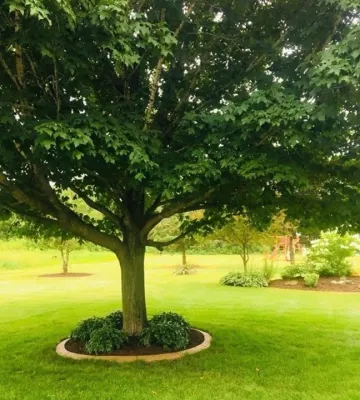 Quality Landscape Curbing LLC - Landscape Construction in Hastings, MN