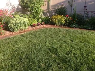 Quality Landscape Curbing LLC - Landscape Construction in Hastings, MN