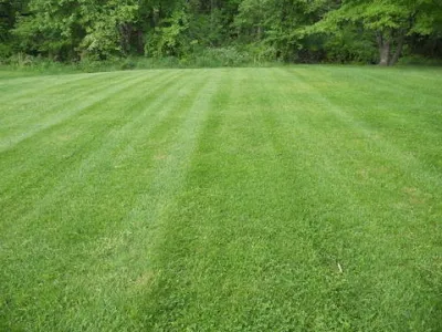 R and M Landscaping - Landscape Construction in 