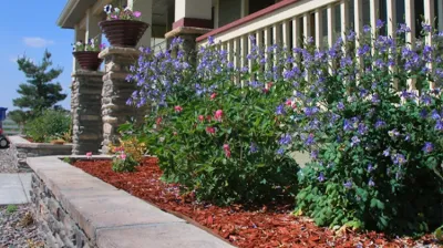 Raindance Landscaping - Landscape Construction in Longmont, CO