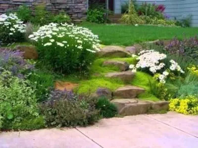 RCB Landscape, LLC. - Landscape Construction in Albuquerque, NM