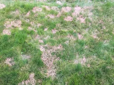 Realgreen Lawn Care - Landscape Construction in Meredith, NH
