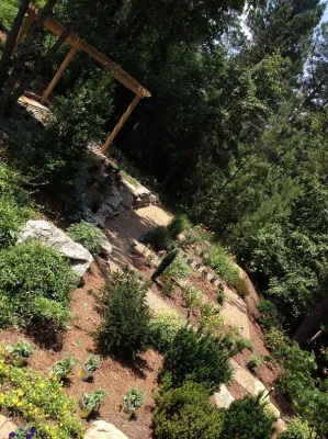 Red Mountain Landscapes LLC - Landscape Construction in Hendersonville, NC