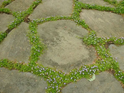 Redtwig, llc - Landscape Construction in Tenants Harbor, ME