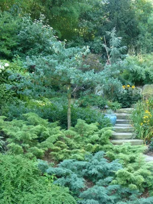 Redtwig, llc - Landscape Construction in Tenants Harbor, ME
