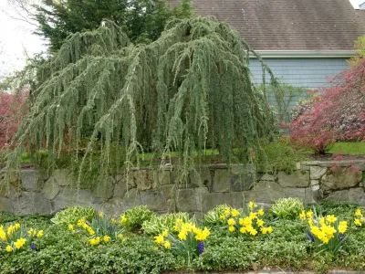 Redtwig, llc - Landscape Construction in Tenants Harbor, ME
