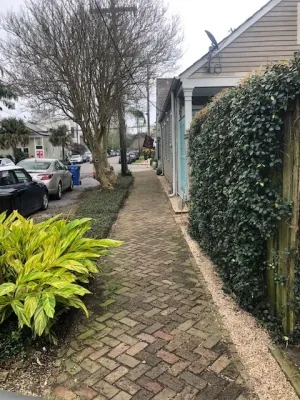 Reeves Land Services LLC - Landscape Construction in New Orleans, LA