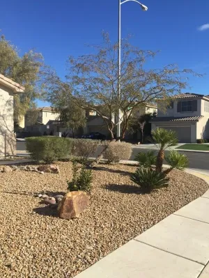 Results Landscape Services - Landscape Construction in Las Vegas, NV