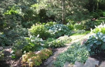 Moore's Landscaping & Nursery - Landscape Construction in Omaha, NE