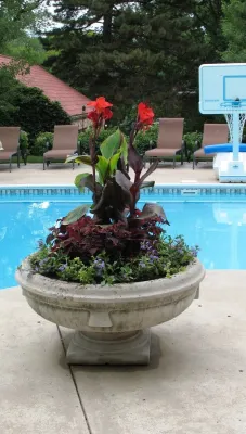Container Gardening — Landscape Construction project by Moore's Landscaping & Nursery