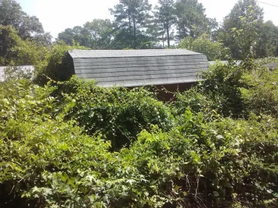 Mow Tekk Landscape Professionals - Landscape Construction in Jacksonville, FL