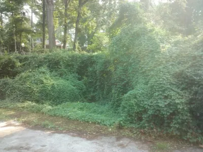 Mow Tekk Landscape Professionals - Landscape Construction in Jacksonville, FL