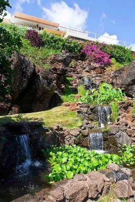 Mulkern Landscaping & Nursery - Landscape Construction in Honolulu, HI