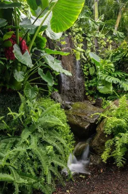 Mulkern Landscaping & Nursery - Landscape Construction in Honolulu, HI