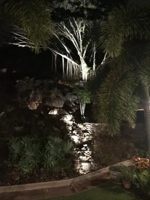 Mulkern Landscaping & Nursery - Landscape Construction in Honolulu, HI
