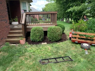 Bush removal and trim — Landscape Construction project by Mullaney Landscaping