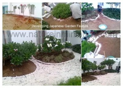Nature in MIniature - Landscape Construction in 
