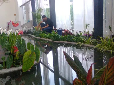 Hotel Parc Estique Indoor POnd Installation — Landscape Construction project by Nature In MIniature
