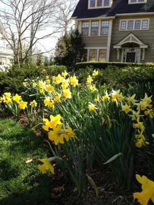 Cording Landscape Design - Garden Remodeling in Towaco, NJ