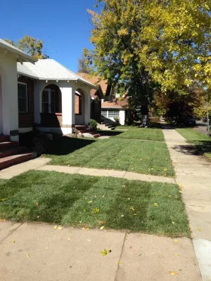 Nelson Lawnscapes - Landscape Construction in Castle Rock, CO