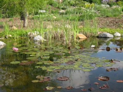 Neptune's Water Gardens - Landscape Construction in Gretna, NE
