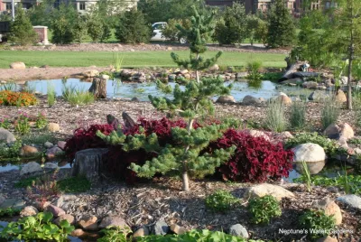 Neptune's Water Gardens - Landscape Construction in Gretna, NE