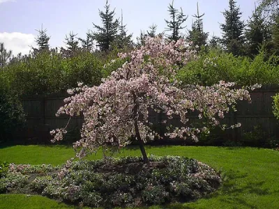 Rogers Nursery INC - Landscape Construction in Lake Bluff, IL