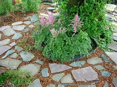 Silverado Landscaping & Irrigation - Landscape Construction in Farmington, MN
