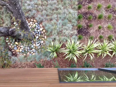 Costello Kennedy Landscape Architecture - Landscape Design in San Rafael, CA