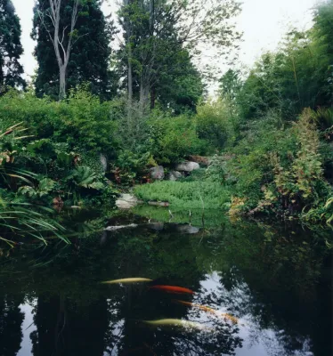 Koi Pond — Landscape Design project by Coyle & Caron Landscape Architecture
