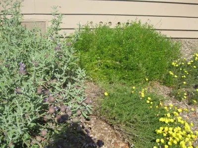 Creations Landscape Designs - Deck Building & Repair in Tustin, CA