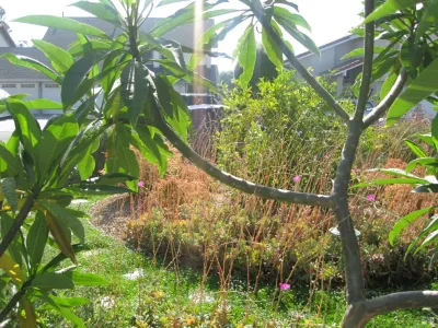 Creations Landscape Designs - Deck Building & Repair in Tustin, CA
