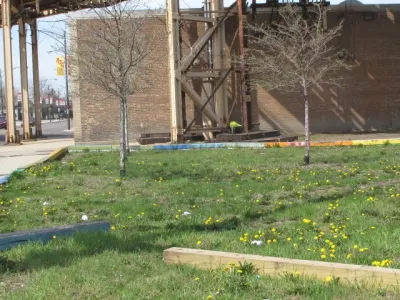 South Side Roots, Inc - Landscape Construction in Chicago, IL