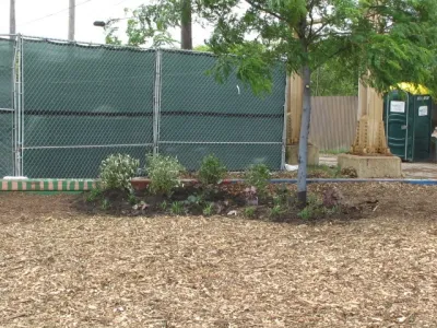 South Side Roots, Inc - Landscape Construction in Chicago, IL