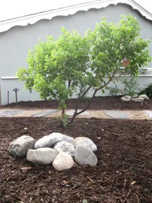 Creations Landscape Designs - Deck Building & Repair in Tustin, CA