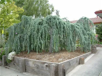 Sparrow Landscape and Lawn Care - Landscape Construction in Boise, ID