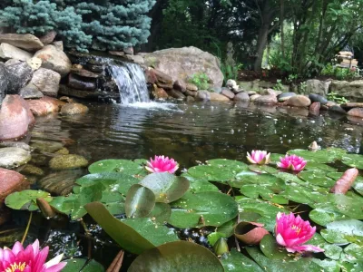 Steele's Landscapes - Landscape Construction in Wichita, KS