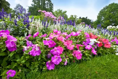 Creative Design Landscaping - Garden Remodeling in East Hampton, NY