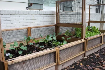VA Residential Edible Garden — Landscape Construction project by Rooftop Roots