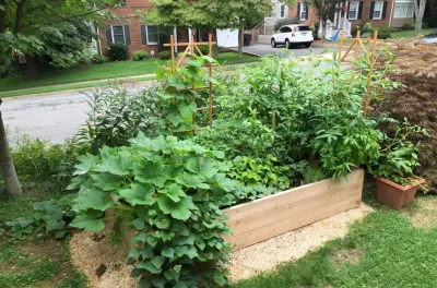 VA Residential Edible Garden — Landscape Construction project by Rooftop Roots