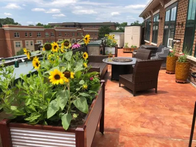 VA Residential Container Patio Garden — Landscape Construction project by Rooftop Roots