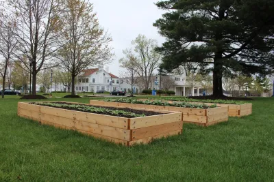 Rooftop Roots - Landscape Construction in Dc, 