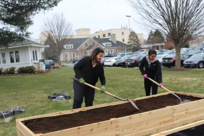 Rooftop Roots - Landscape Construction in Dc, 