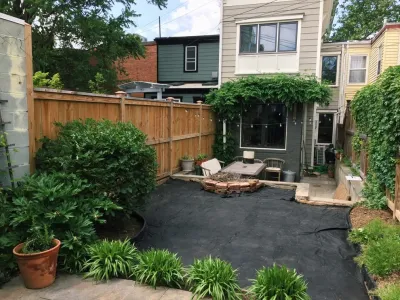 DC Residential Lawn Conversion — Landscape Construction project by Rooftop Roots