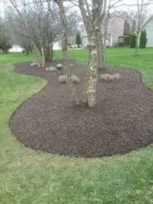 Rosemary Landscaping - Landscape Construction in Valparaiso, IN