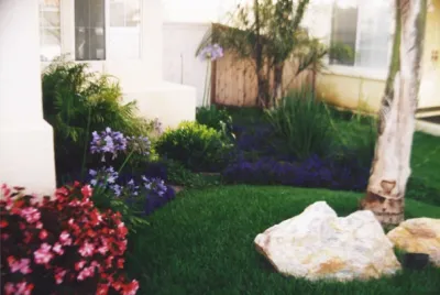 California Home 4 — Landscape Design project by Creative Landscapes Detroit LLC in San Diego