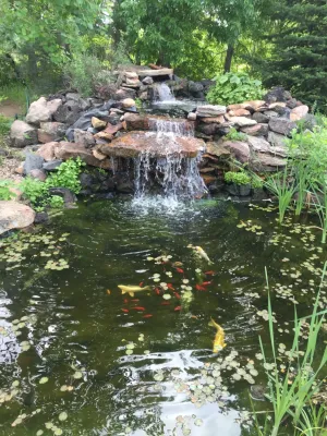 Sulli's Landscaping - Landscape Construction in Lakewood, CA
