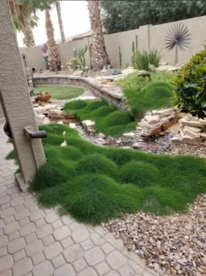 Sunshine Irrigation & Light Inc. - Landscape Construction in Glendale, AZ