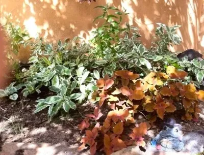 Sunsilk Landscaping - Landscape Construction in Santa Fe, NM